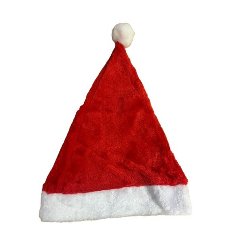 Party Santa Hat
