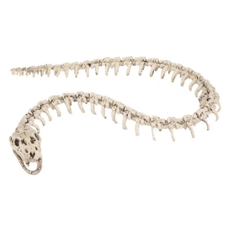 Skeleton Snake Prop