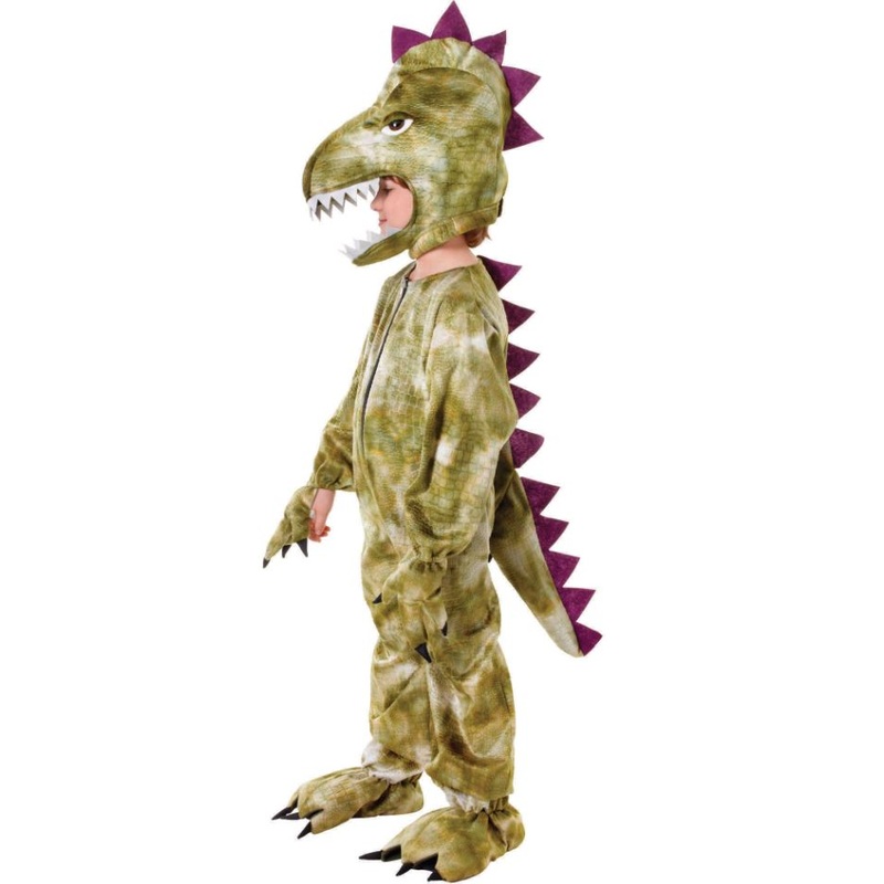Tween Dinosaur Costume