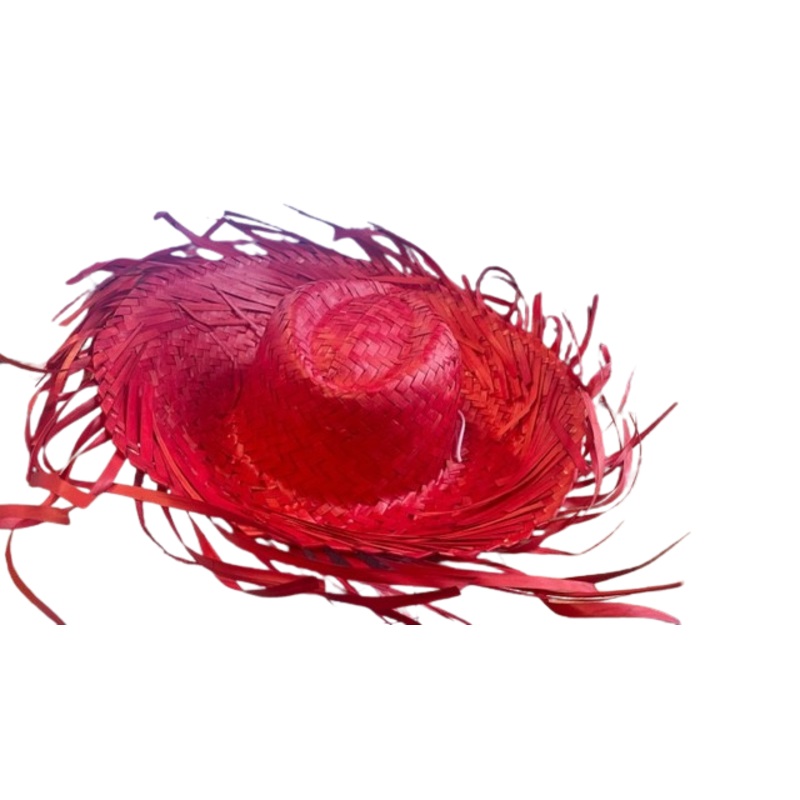 Red Straw Hat