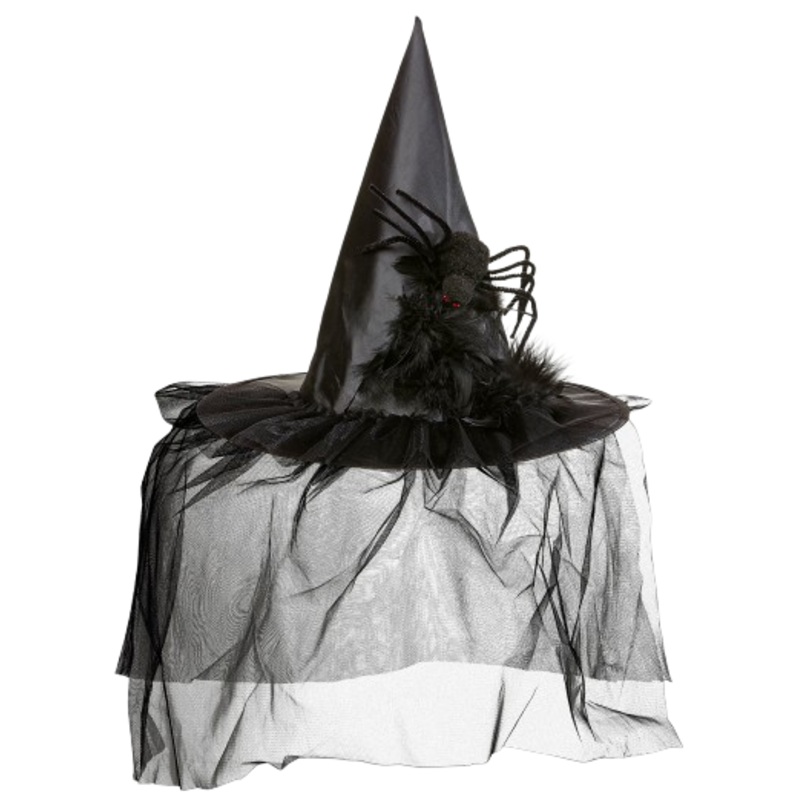 Spider Witch Hat