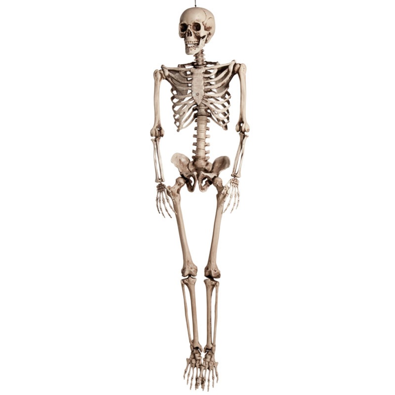 Skeleton Decoration - 160cm