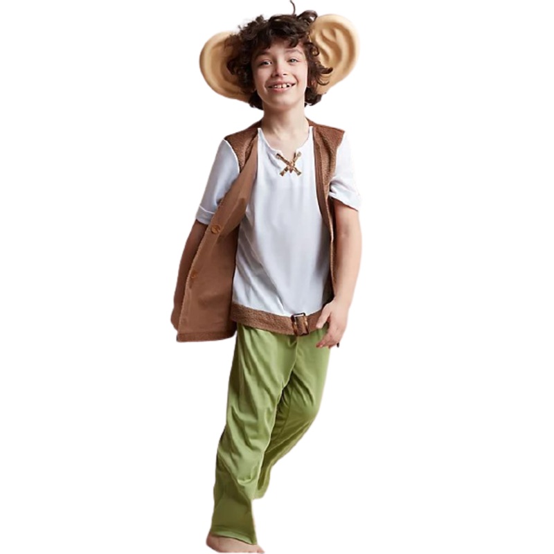 The BFG Fancy Dress Costume - Kids
