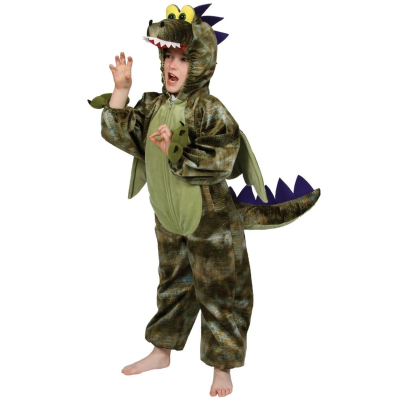 Kids Dinosaur Costume