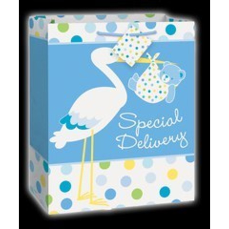 Baby Boy Stork Gift Bag