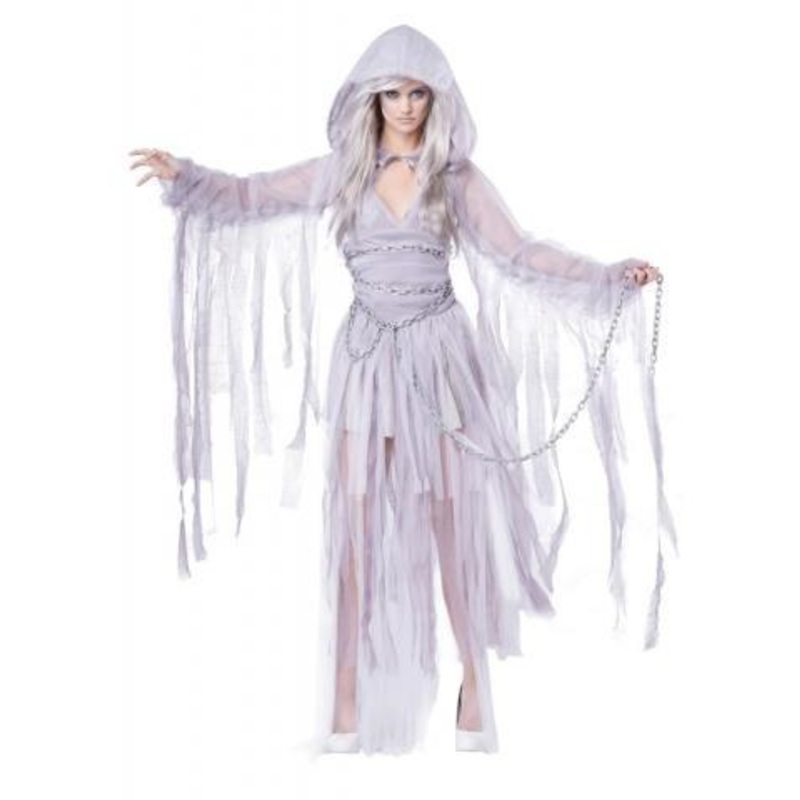 Haunting Beauty Costume