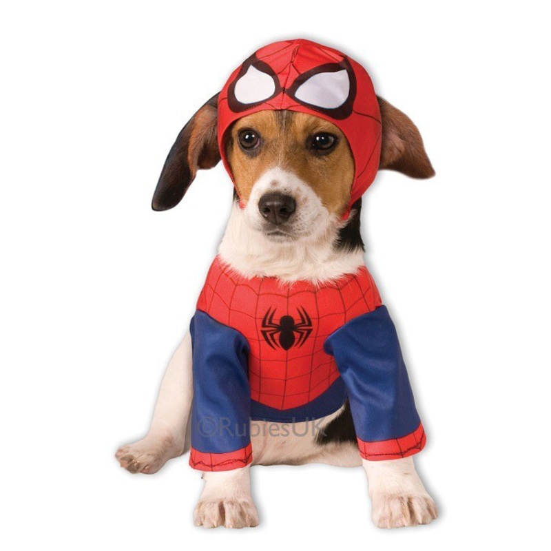 Spider-man Pet Costume
