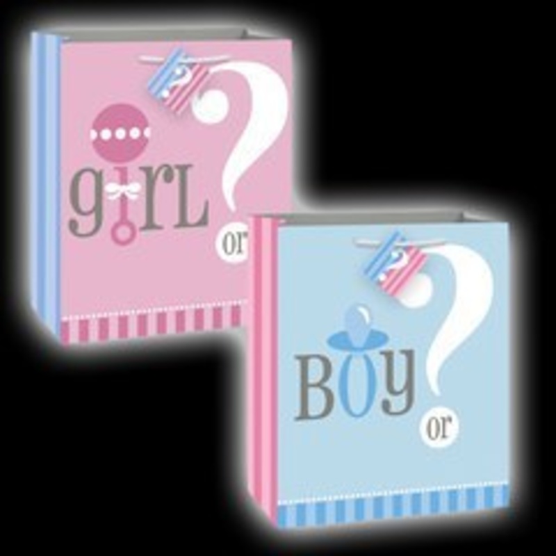 Gender Reveal Gift Bag