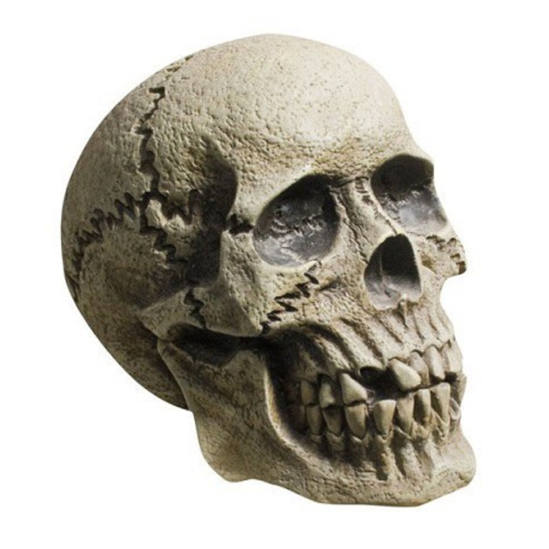 Rotting Skull