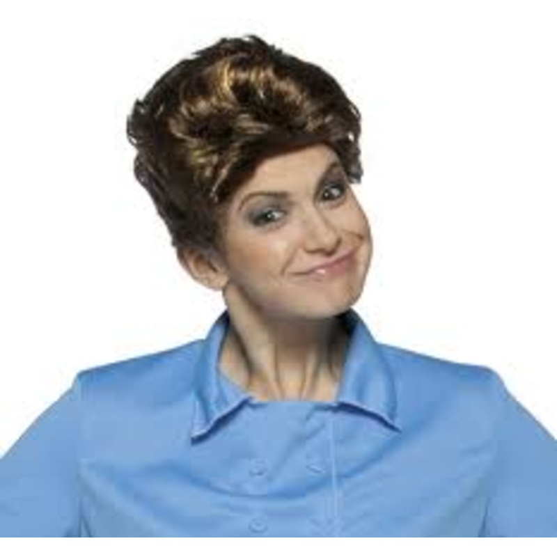 The Brady Bunch - Alice Wig