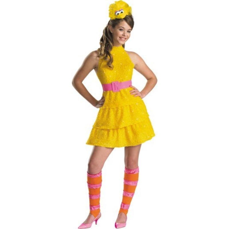 Big Bird Teen Costume