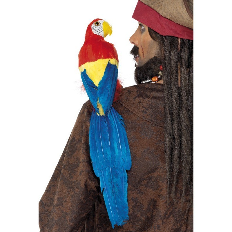 Feathered Parrot