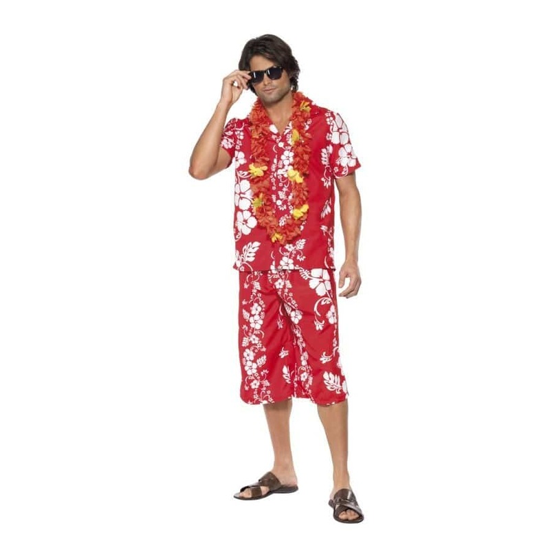 Hawaiian Hunk Costume