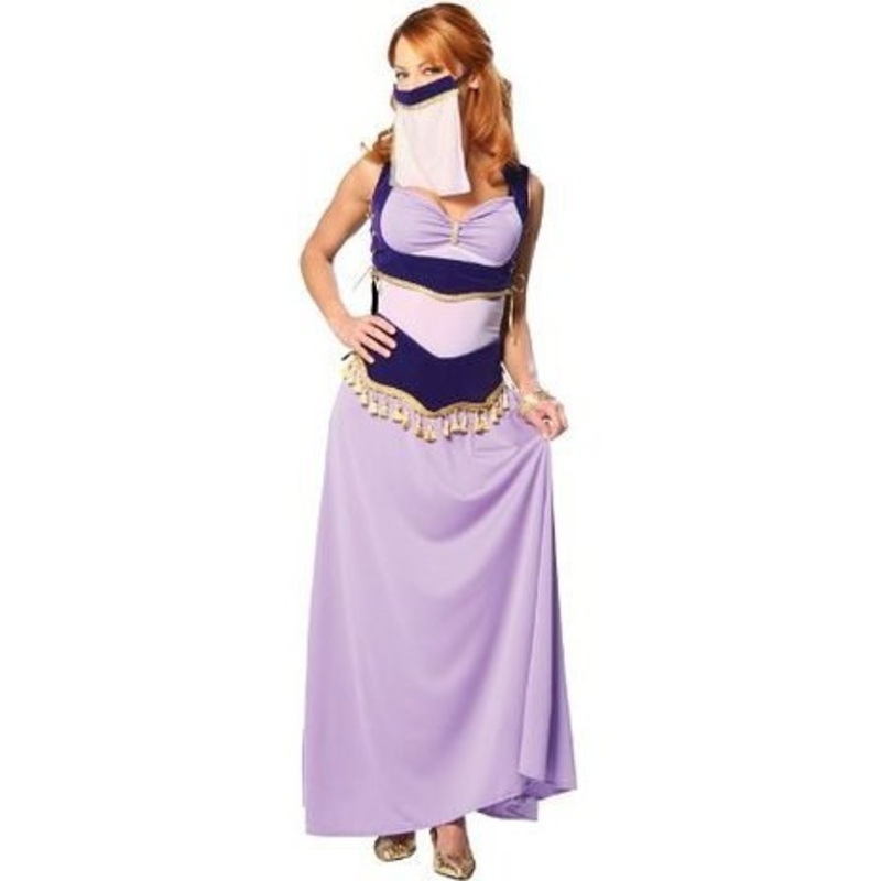 Jasmine - The Harem Dancer Costume