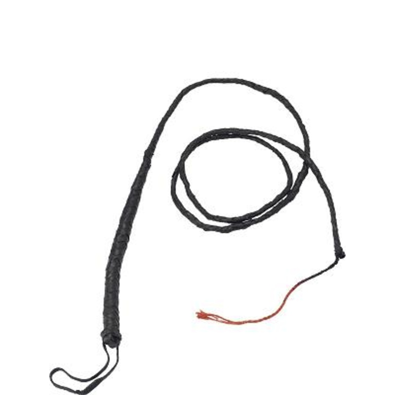 Long Bull Whip