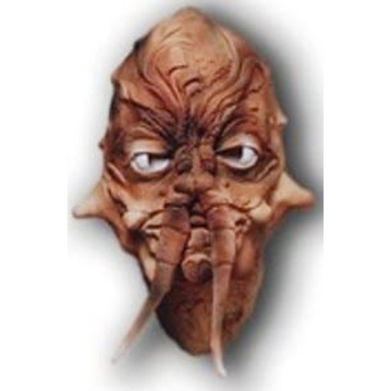 Insect Mask