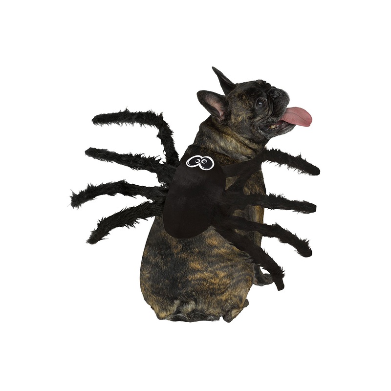Spider Pet Costume Small/Medium