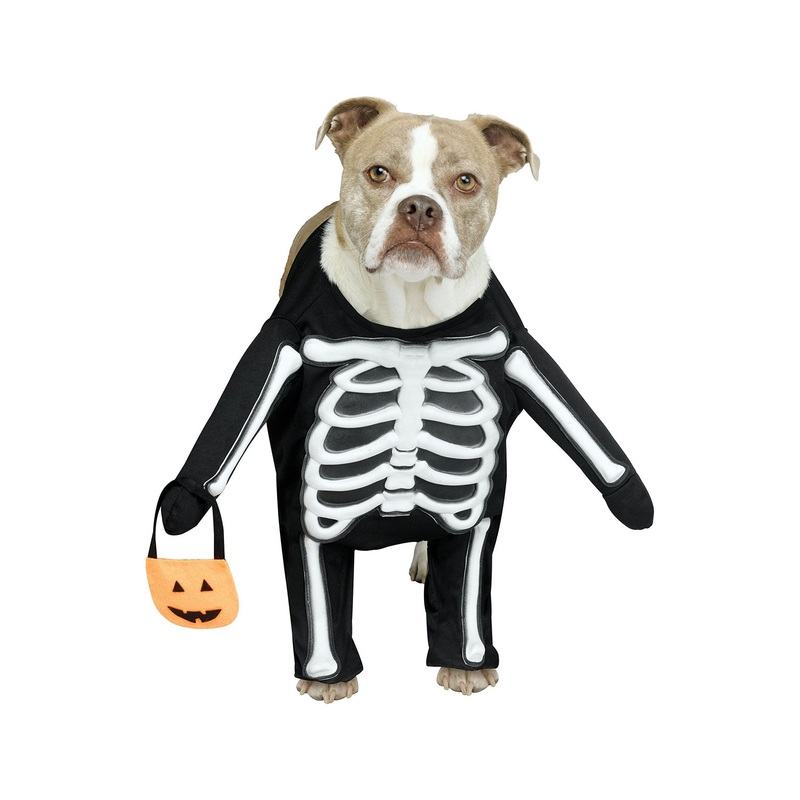 Skele-Dog Pet Costume Small