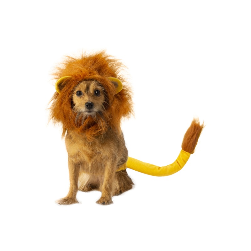 Simba Pet Accessory Small/Medium