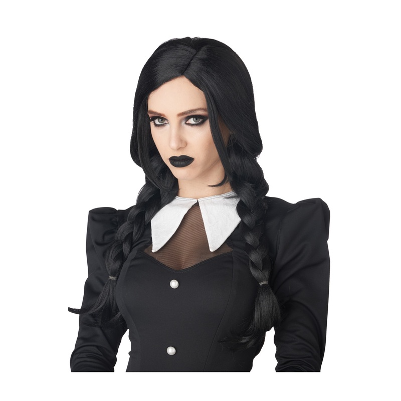 Dark Braids Wig Standard