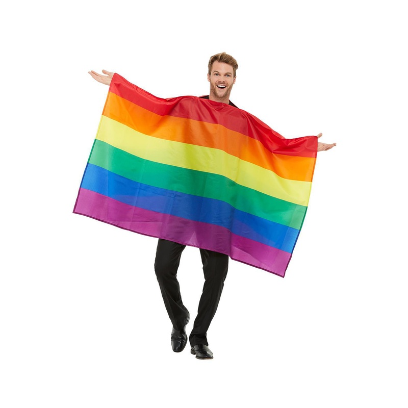 Rainbow Flag Adult Costume Standard