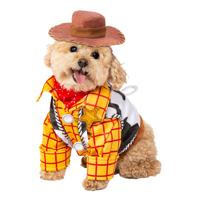 Woody Pet Costume Small