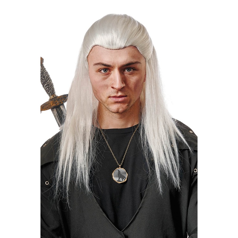 Medieval Knight Grey Wig Standard