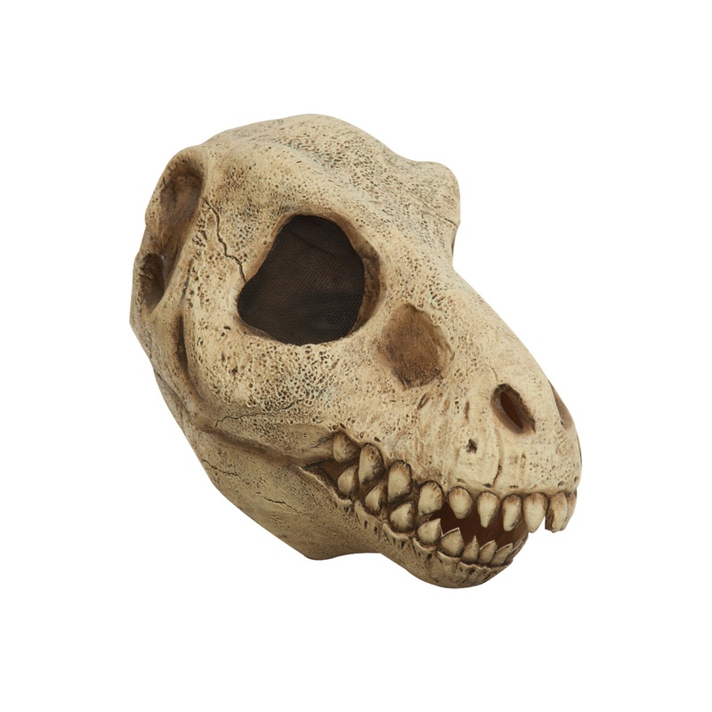 T Rex Skull Adult Mask Standard
