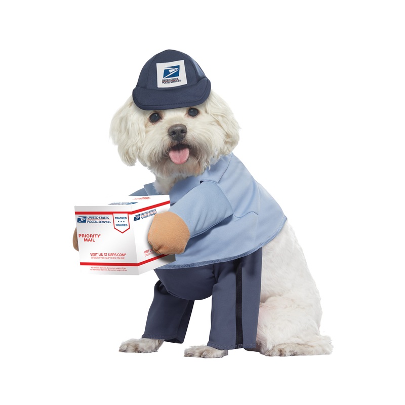 US Mail Carrier Pup Pet Costume X-Small