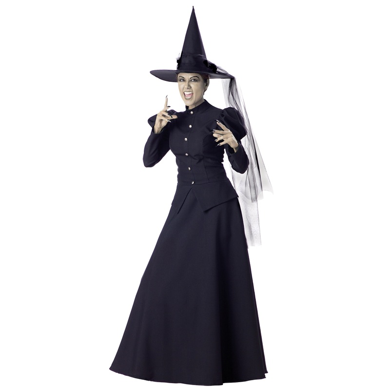 Wretched Witch Adult Costume Small