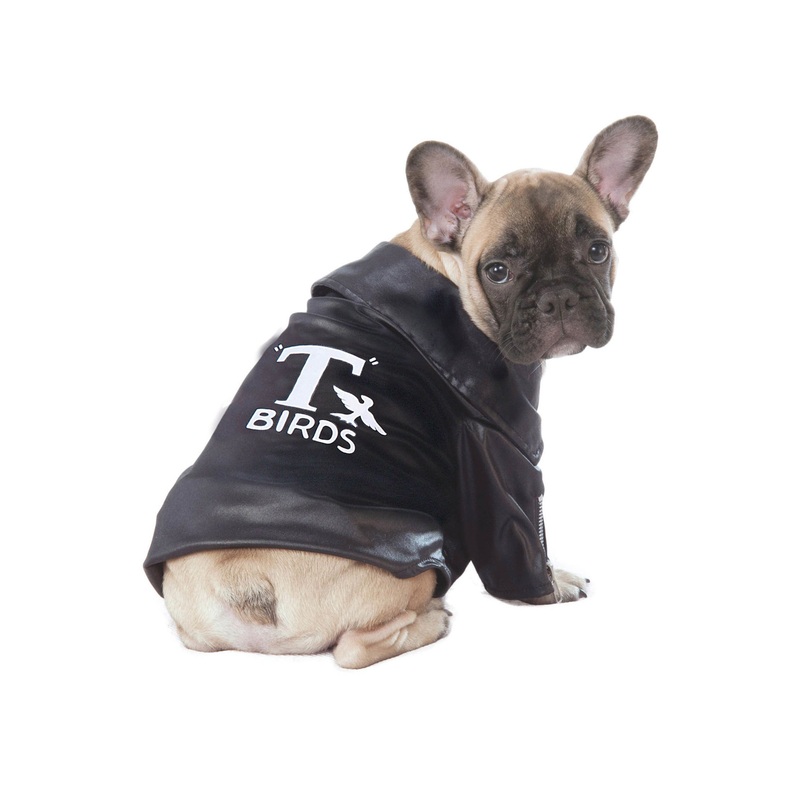 T-Birds Jacket Pet Costume Small