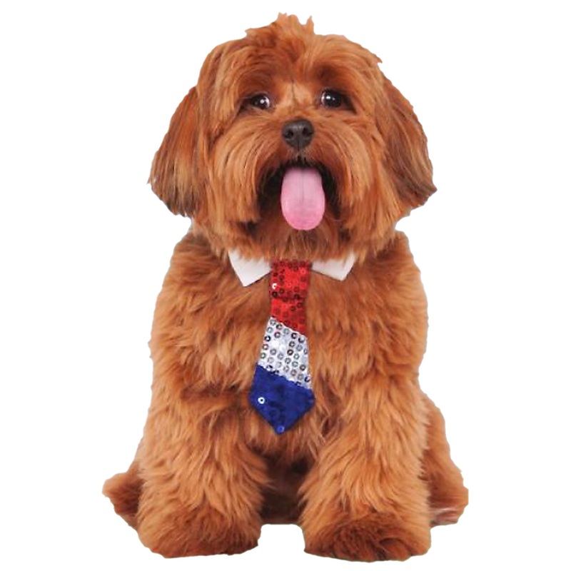 Patriotic Tie Pet Accessory Small/Medium