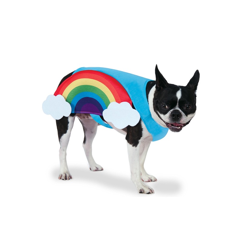 Rainbow Pet Costume Small