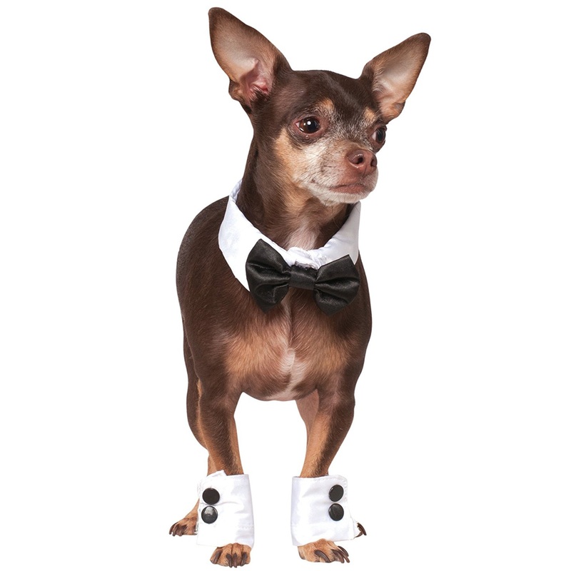 Tuxedo Bowtie and Cuffs Pet Accessory Set Small/Medium