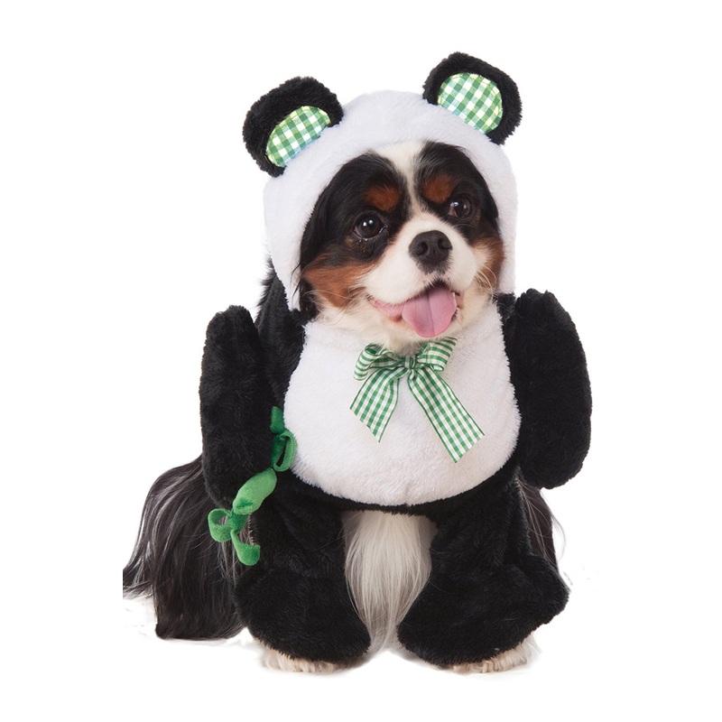 Walking Panda Pet Costume Small