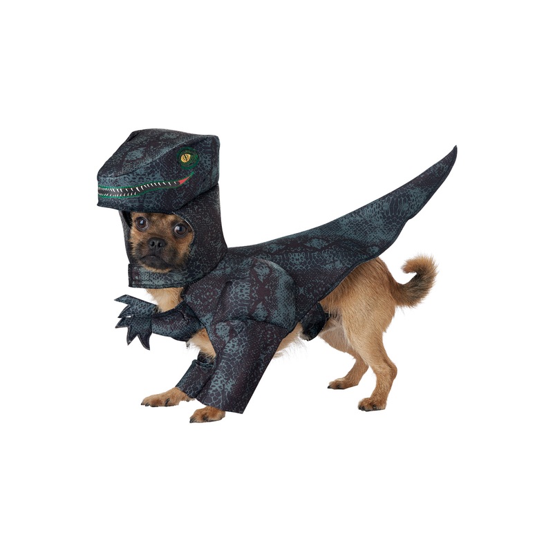 Pupasaurus T-Rex Pet Costume X-Small