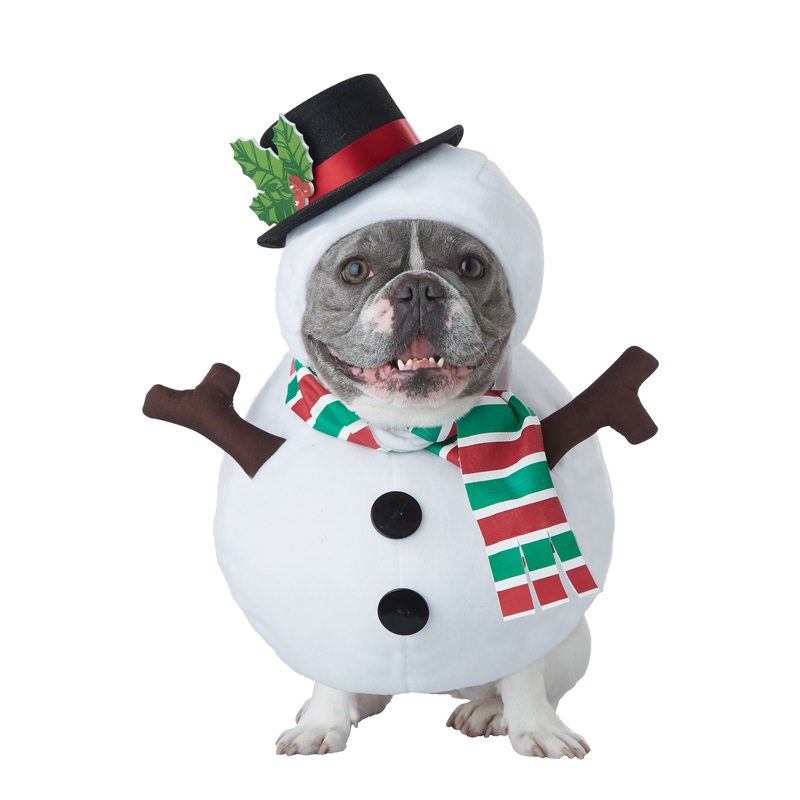 Winter Snowman Pet Costume X-Small