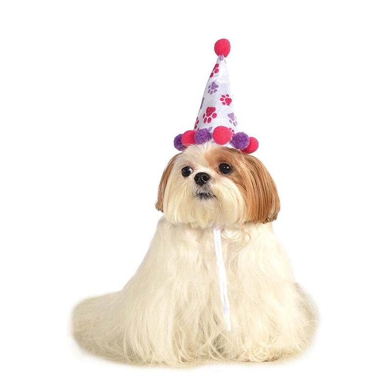 Girl's Birthday Hat Pet Costume Small/Medium