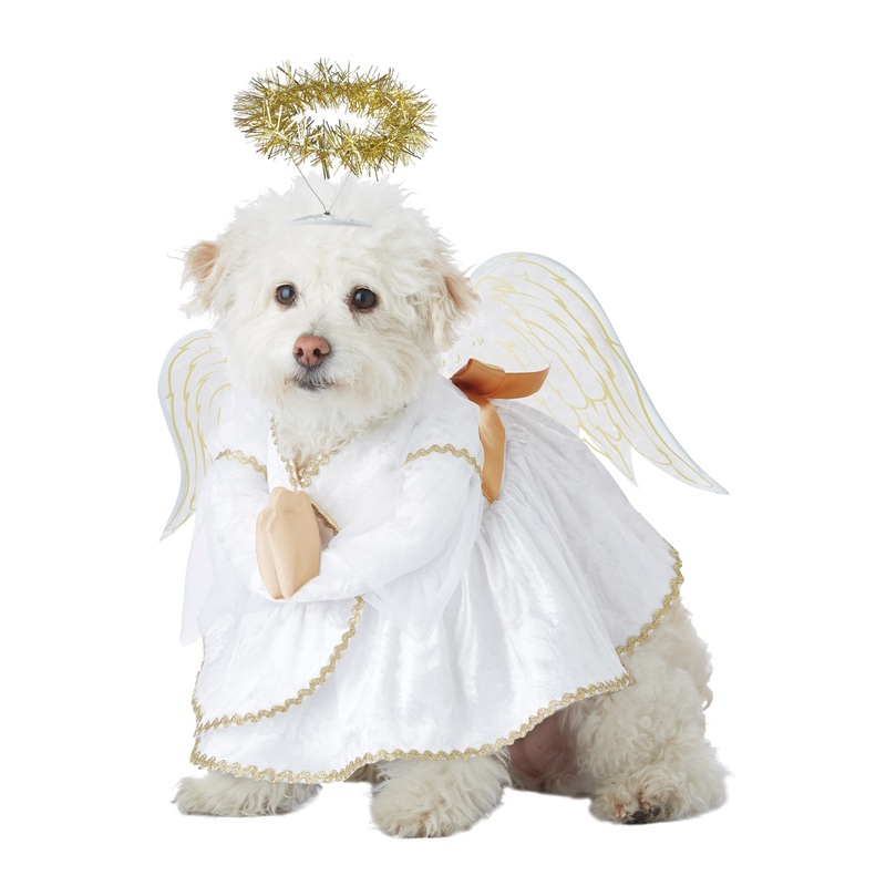 Heavenly Hound Pet Costume X-Small