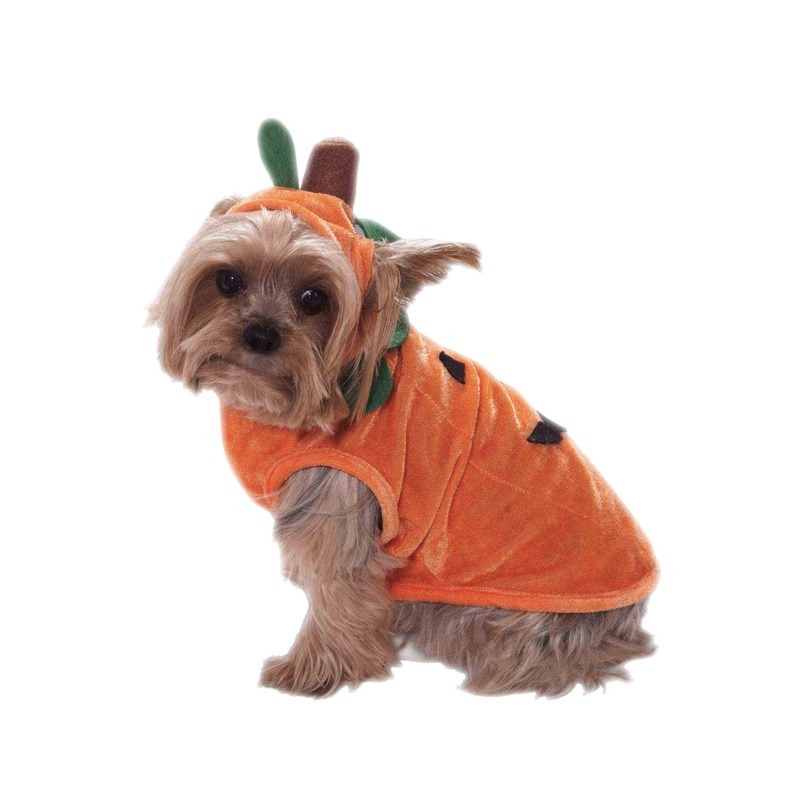 Pumpkin Doggie Pet Costume (Large) Large