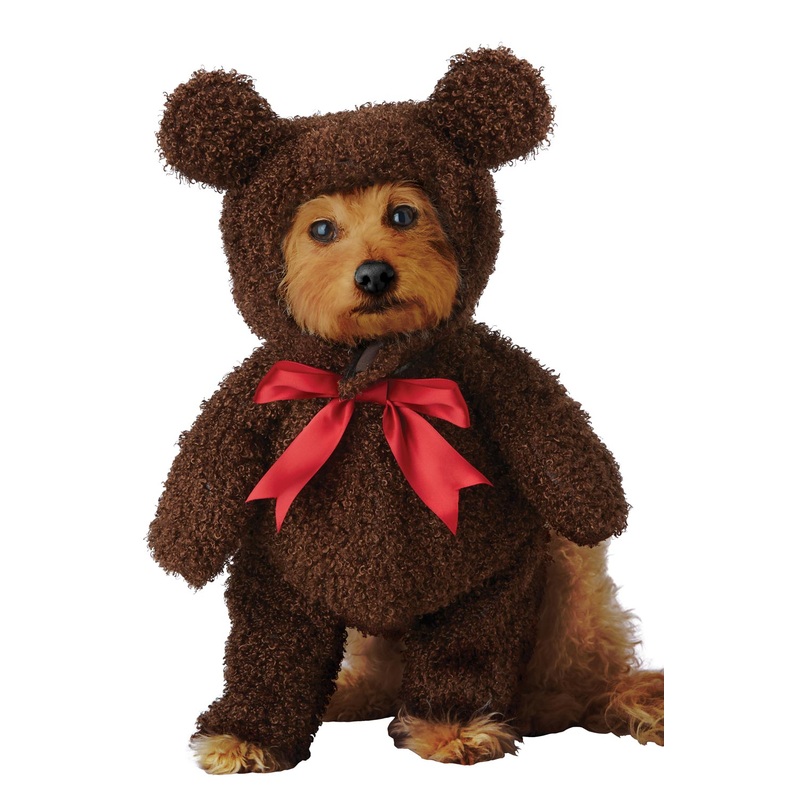 Sweet Teddy Bear Pet Costume X-Small