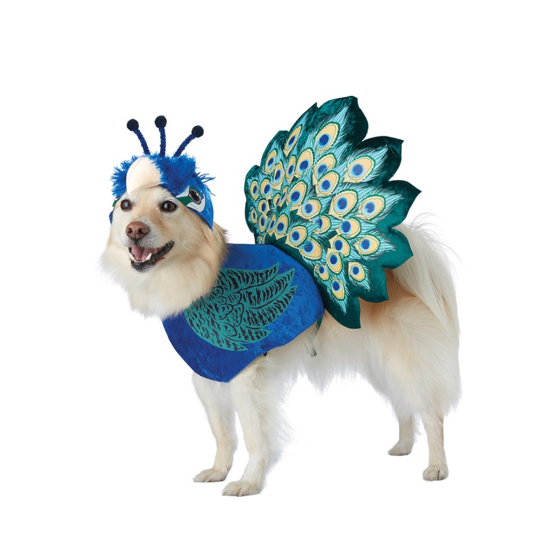 Pretty as a Peacock Pet Costume X-Small