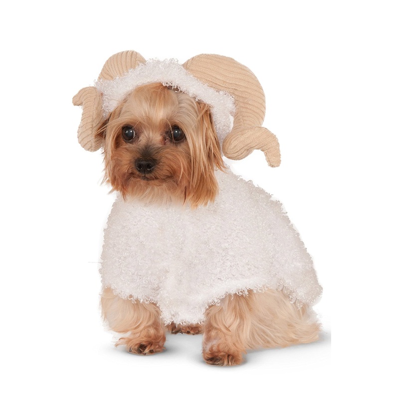 Ram Pet Costume X-Small