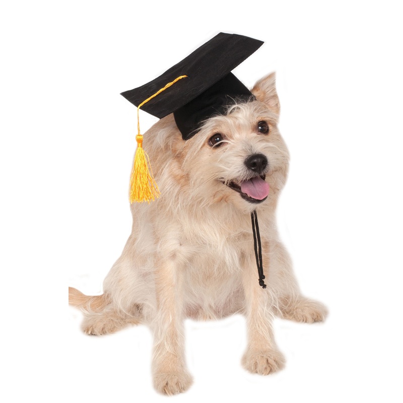 Black Grad Hat Pet Costume Small/Medium
