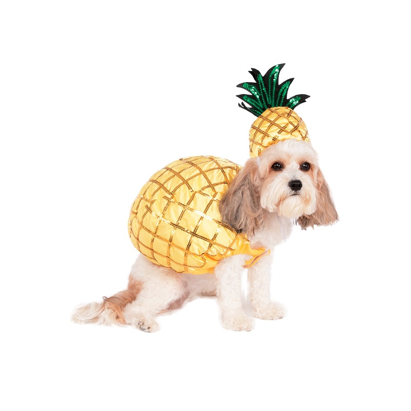 Pineapple Pet Costume Small