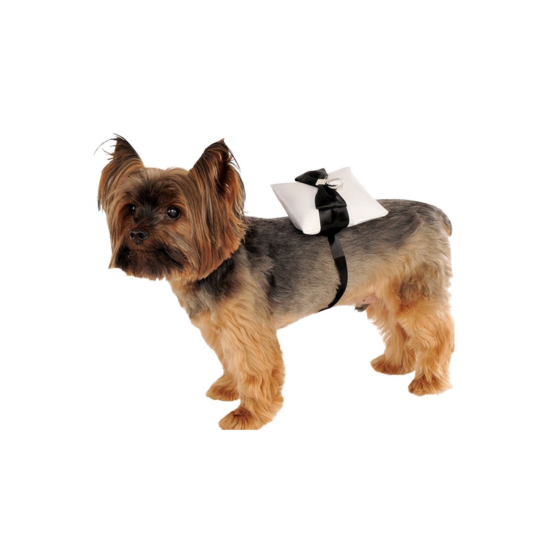 Ring Bearer Pillow Pet Costume Standard