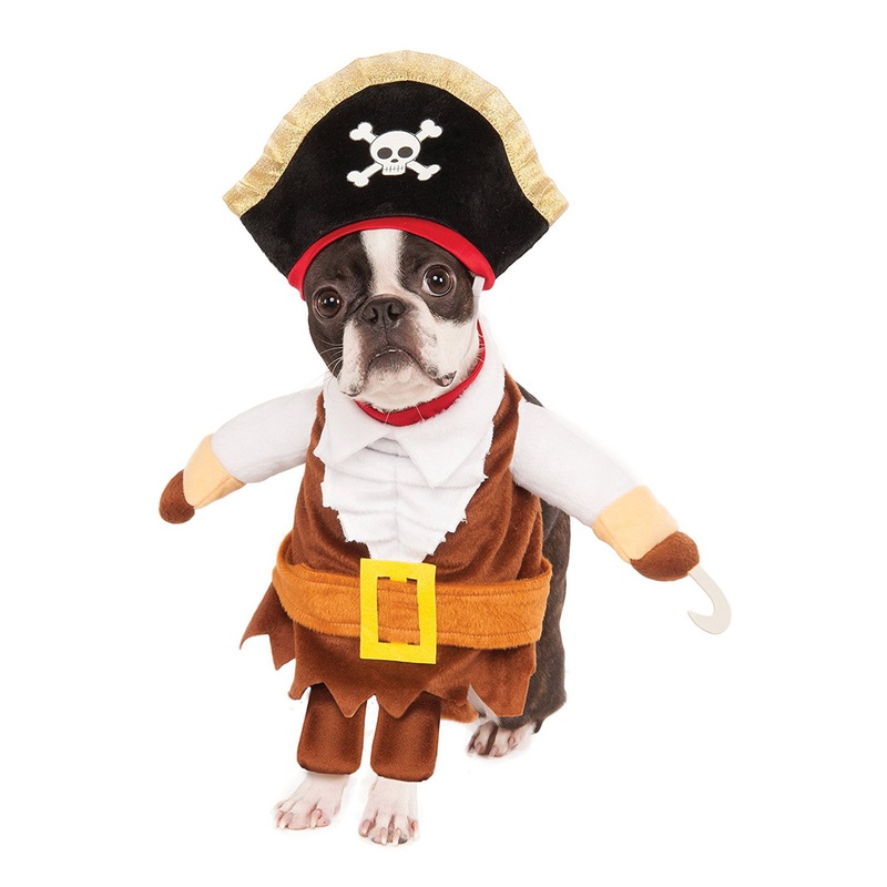 Walking Pirate Pet Costume Small