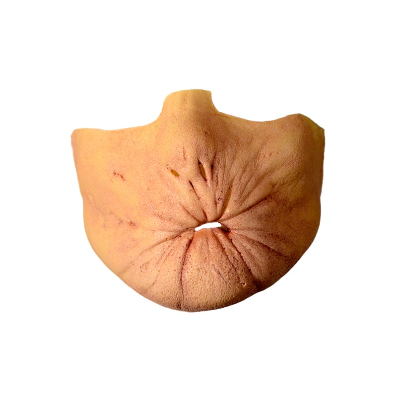 Arseface Appliance Kit Standard