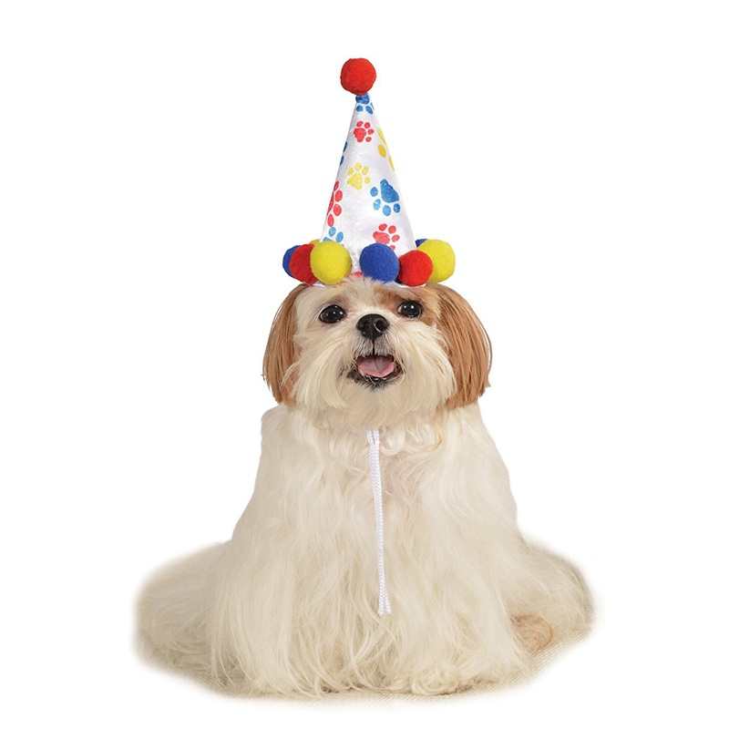Boy's Birthday Hat Pet Costume Small/Medium