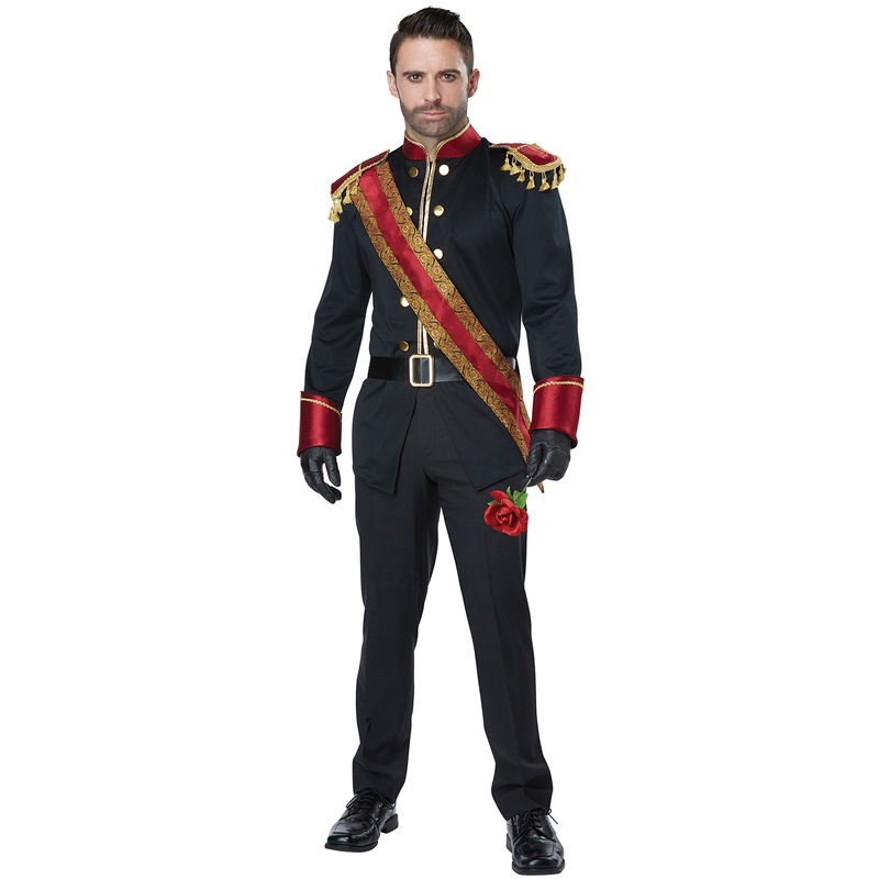 Dark Storybook Prince Adult Costume Small